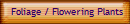 Foliage / Flowering Plants